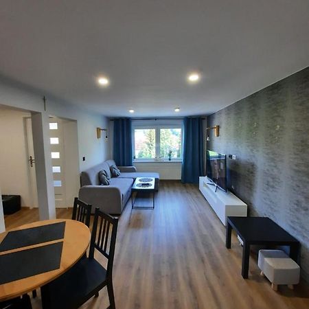Orlicka Apartament Душники-Здруй Екстер'єр фото