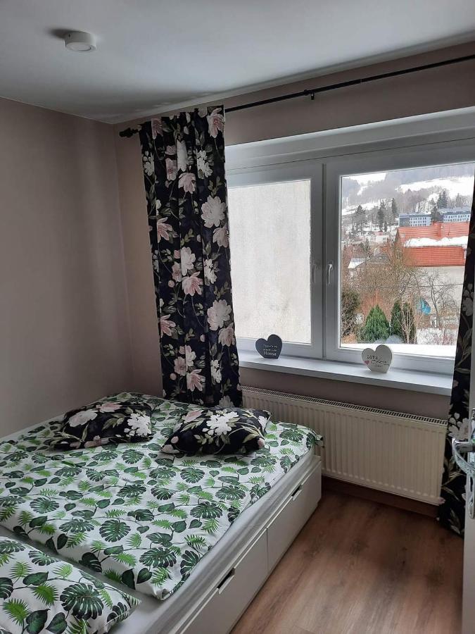 Orlicka Apartament Душники-Здруй Екстер'єр фото