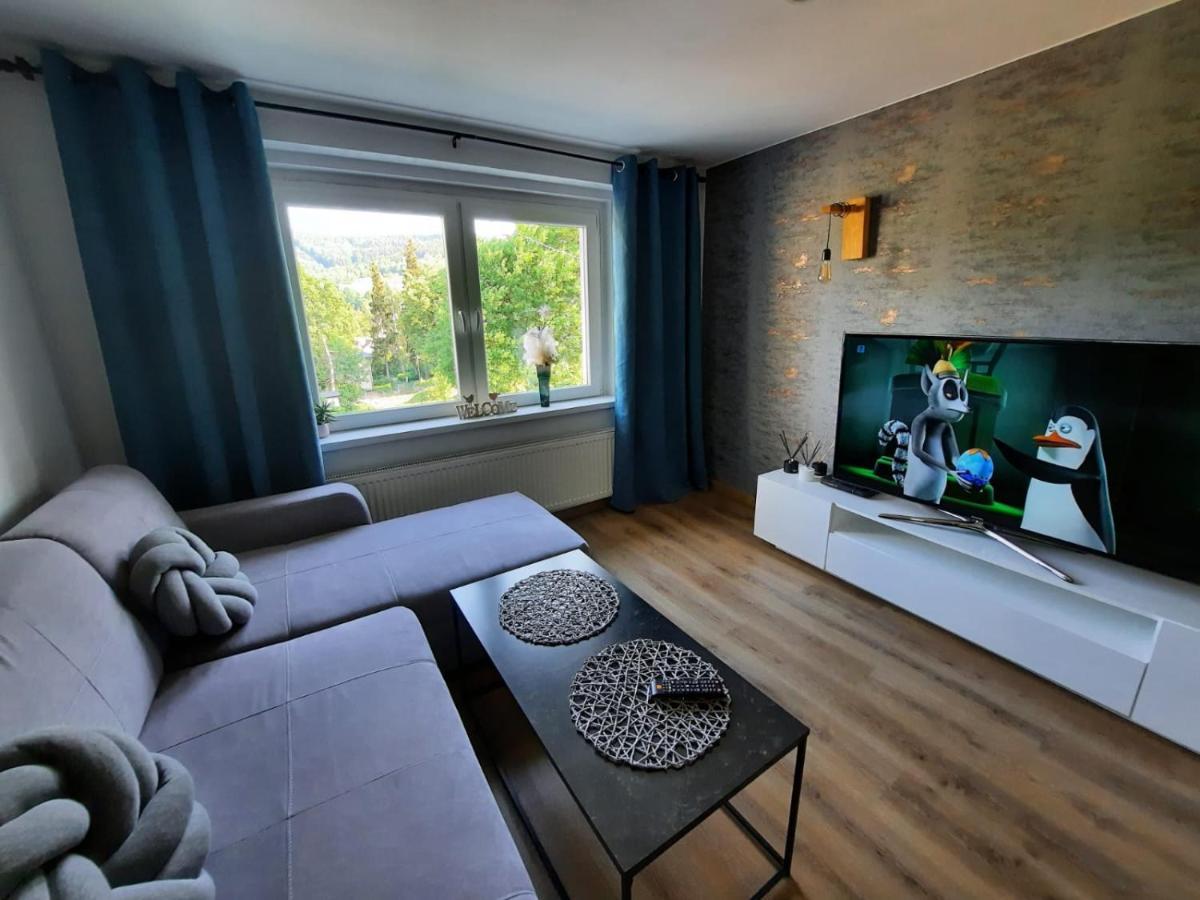 Orlicka Apartament Душники-Здруй Екстер'єр фото