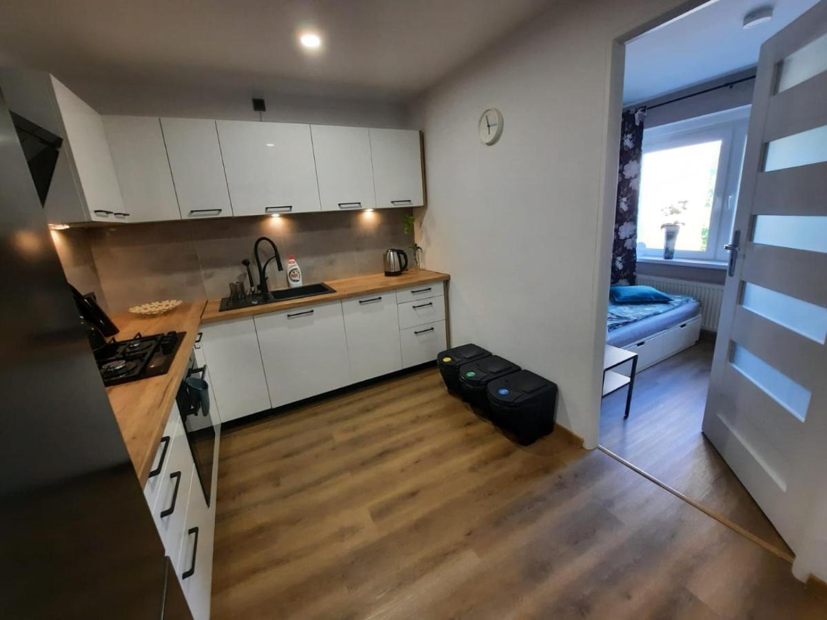 Orlicka Apartament Душники-Здруй Екстер'єр фото