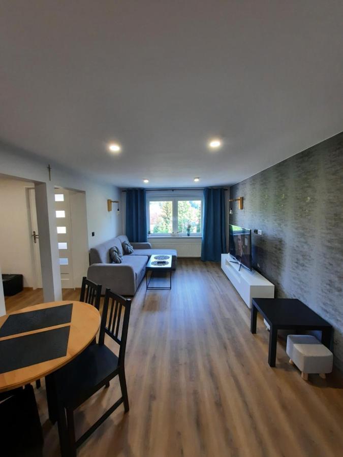 Orlicka Apartament Душники-Здруй Екстер'єр фото